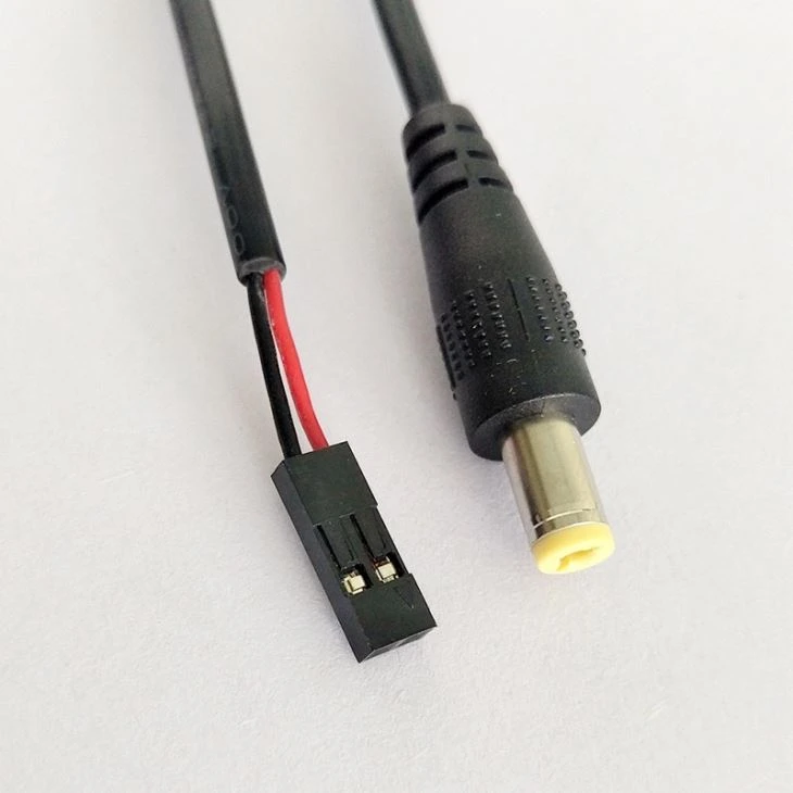 2.54mm 2 pin dupont to 5.5x2.1mm DC Plug Cable